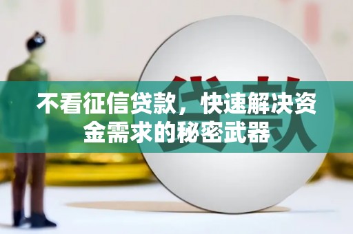 金峰不看征信贷款，快速解决资金需求的秘密武器