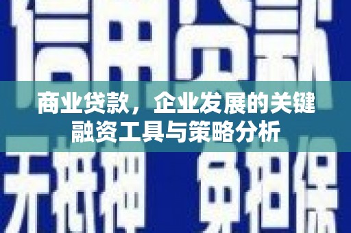 金峰商业贷款，企业发展的关键融资工具与策略分析