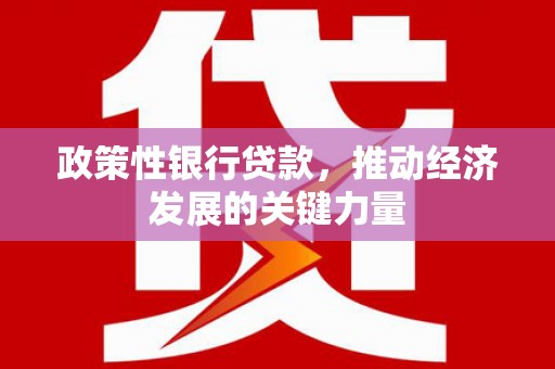 金峰政策性银行贷款，推动经济发展的关键力量