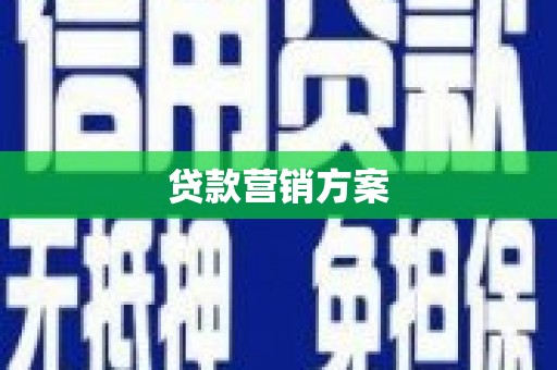金峰贷款营销方案