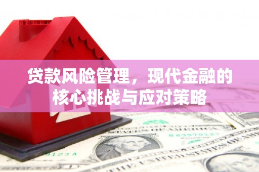 金峰贷款风险管理，现代金融的核心挑战与应对策略