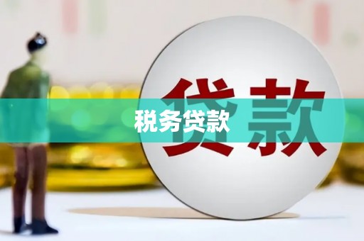 金峰税务贷款