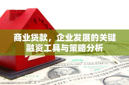金峰商业贷款，企业发展的关键融资工具与策略分析