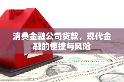 金峰消费金融公司贷款，现代金融的便捷与风险