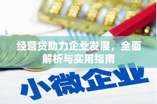 金峰经营贷助力企业发展，全面解析与实用指南