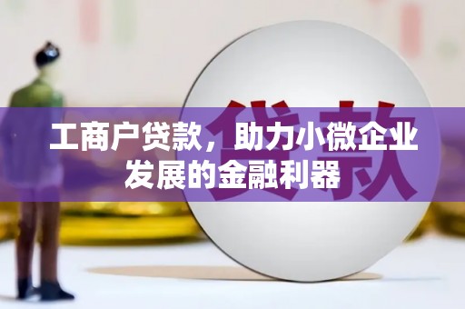 金峰工商户贷款，助力小微企业发展的金融利器