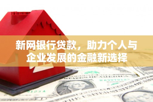 金峰新网银行贷款，助力个人与企业发展的金融新选择