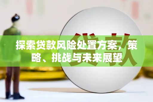 金峰探索贷款风险处置方案，策略、挑战与未来展望