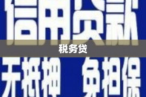 金峰税务贷