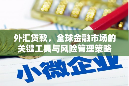 金峰外汇贷款，全球金融市场的关键工具与风险管理策略