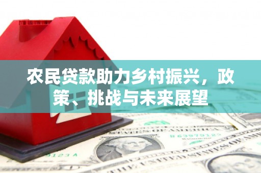 金峰农民贷款助力乡村振兴，政策、挑战与未来展望