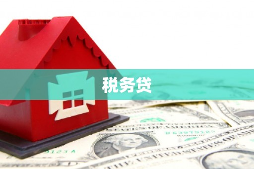 金峰税务贷