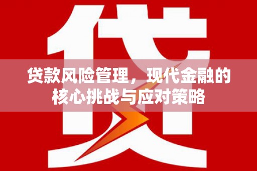 金峰贷款风险管理，现代金融的核心挑战与应对策略