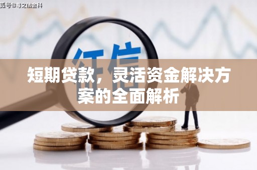 金峰短期贷款，灵活资金解决方案的全面解析