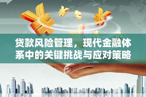 金峰贷款风险管理，现代金融体系中的关键挑战与应对策略