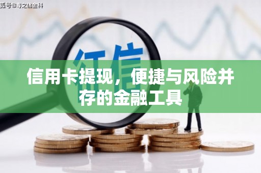 金峰信用卡提现，便捷与风险并存的金融工具