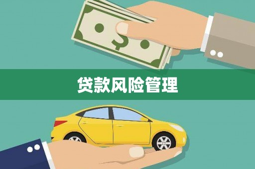 金峰贷款风险管理