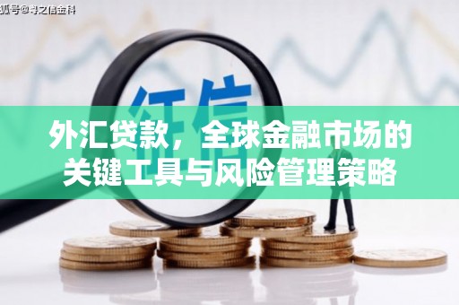 金峰外汇贷款，全球金融市场的关键工具与风险管理策略