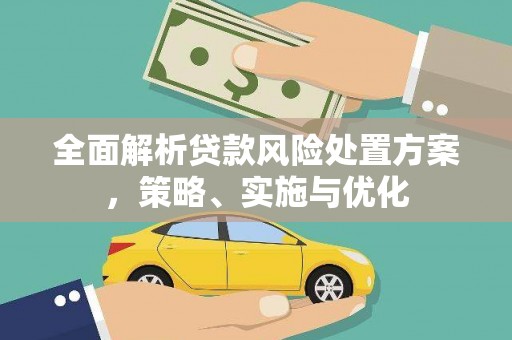 金峰全面解析贷款风险处置方案，策略、实施与优化