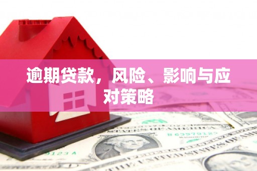 金峰逾期贷款，风险、影响与应对策略