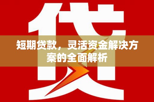 金峰短期贷款，灵活资金解决方案的全面解析