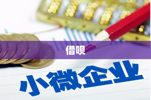 金峰借呗