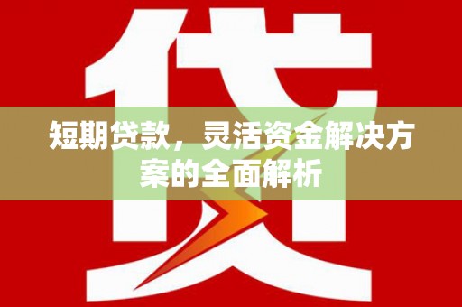 金峰短期贷款，灵活资金解决方案的全面解析
