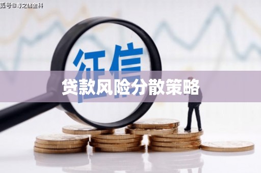 金峰贷款风险分散策略