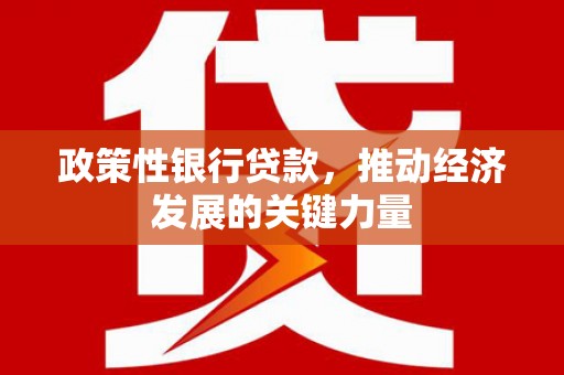 金峰政策性银行贷款，推动经济发展的关键力量