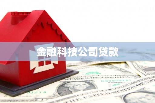 金峰金融科技公司贷款