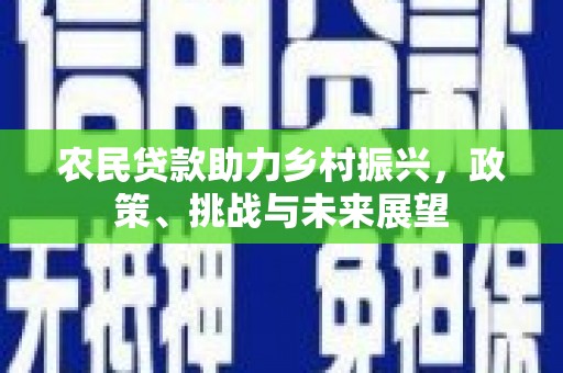 金峰农民贷款助力乡村振兴，政策、挑战与未来展望