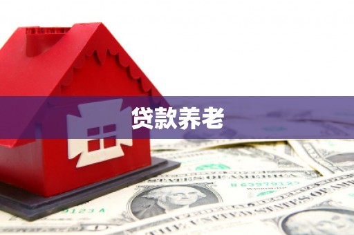 金峰贷款养老