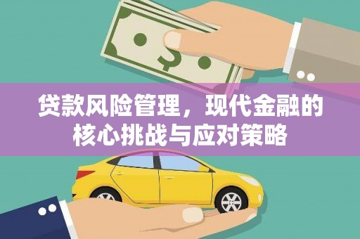 金峰贷款风险管理，现代金融的核心挑战与应对策略