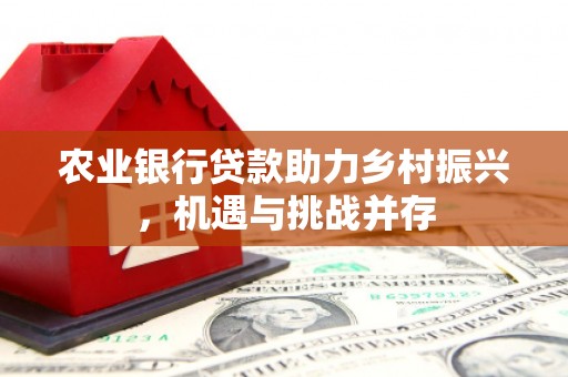 金峰农业银行贷款助力乡村振兴，机遇与挑战并存