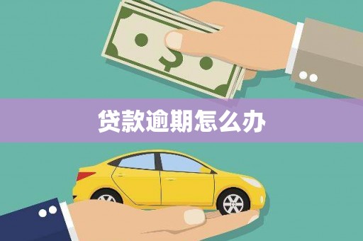金峰贷款逾期怎么办