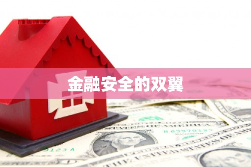 金峰金融安全的双翼