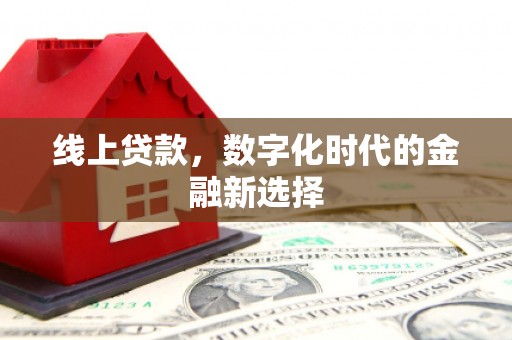 金峰线上贷款，数字化时代的金融新选择