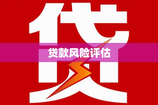 金峰贷款风险评估