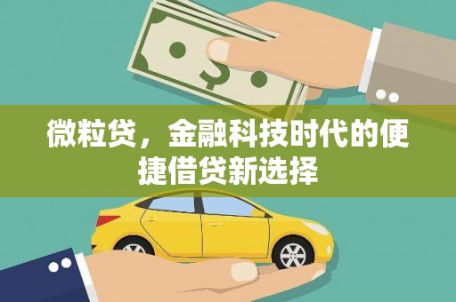 金峰微粒贷，金融科技时代的便捷借贷新选择