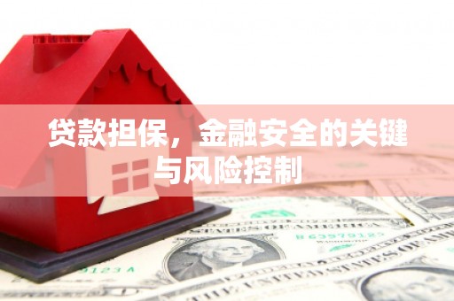 金峰贷款担保，金融安全的关键与风险控制