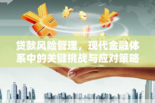 金峰贷款风险管理，现代金融体系中的关键挑战与应对策略