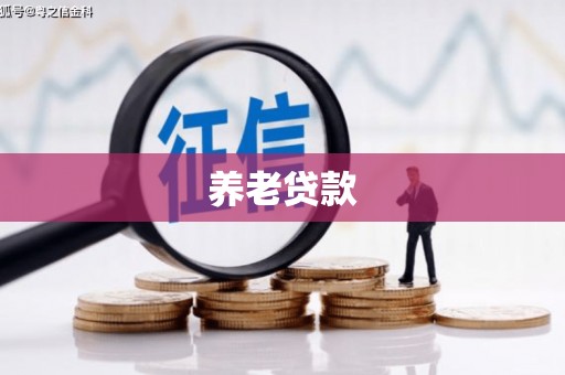 金峰养老贷款