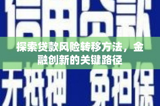 金峰探索贷款风险转移方法，金融创新的关键路径