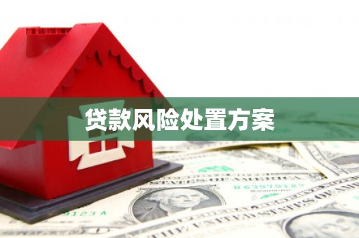 金峰贷款风险处置方案