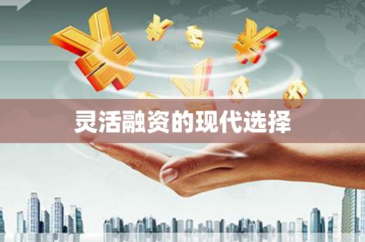金峰灵活融资的现代选择