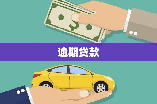 金峰逾期贷款