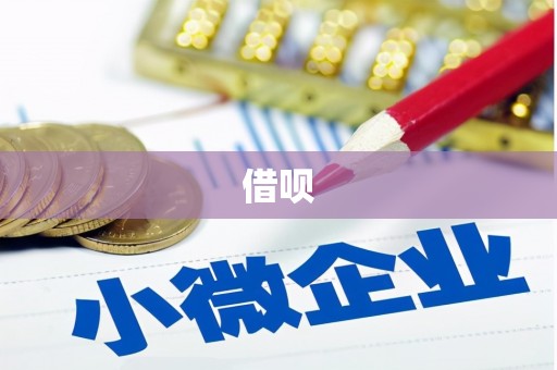 金峰借呗