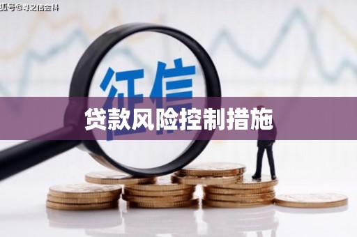 金峰贷款风险控制措施