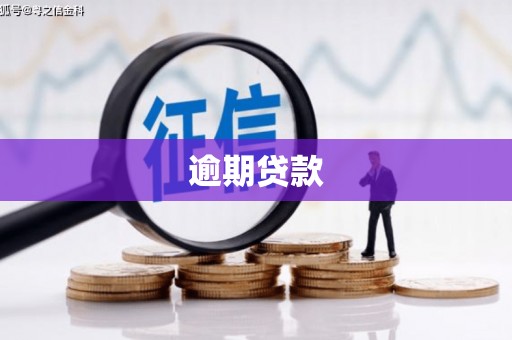 金峰逾期贷款