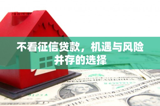 金峰不看征信贷款，机遇与风险并存的选择